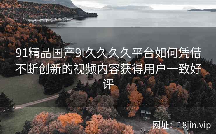 91精品国产9l久久久久平台如何凭借不断创新的视频内容获得用户一致好评  第2张