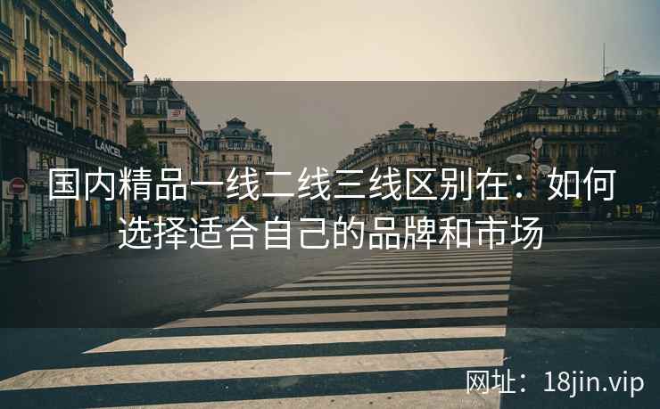 国内精品一线二线三线区别在：如何选择适合自己的品牌和市场  第2张