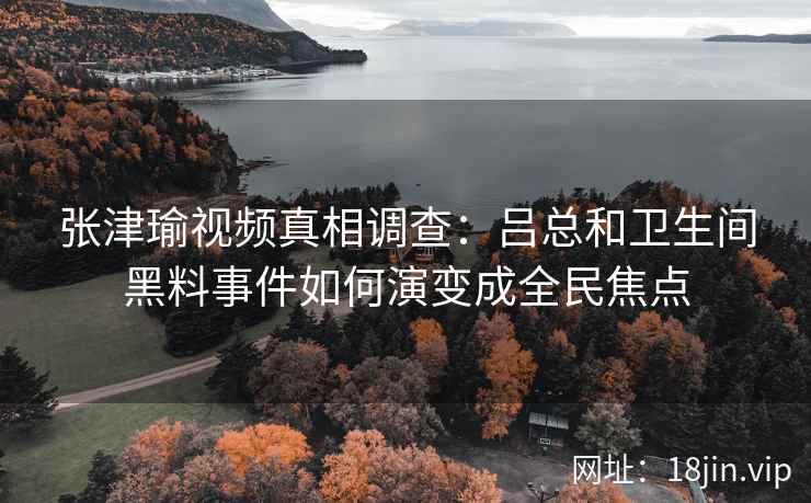 张津瑜视频真相调查：吕总和卫生间黑料事件如何演变成全民焦点  第2张