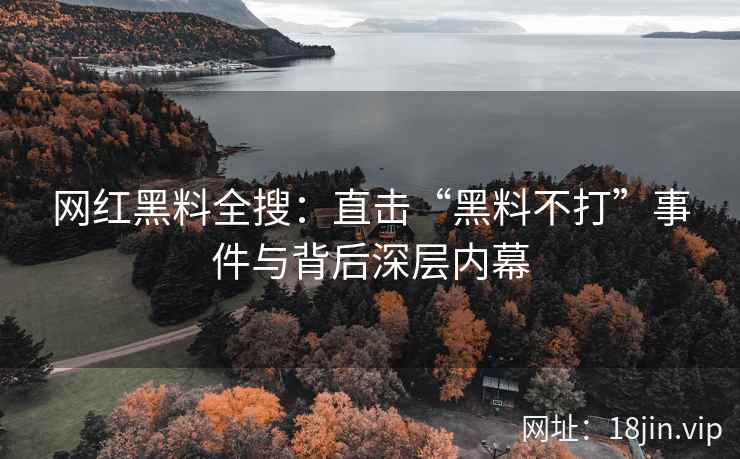 网红黑料全搜：直击“黑料不打”事件与背后深层内幕