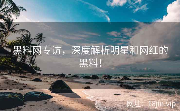 黑料网专访，深度解析明星和网红的黑料！