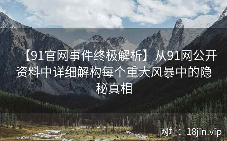 【91官网事件终极解析】从91网公开资料中详细解构每个重大风暴中的隐秘真相